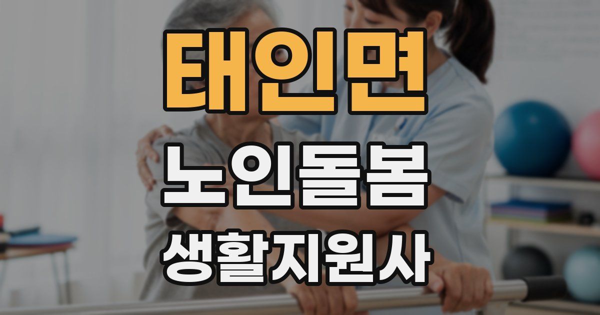 태인면 노인돌봄생활지원사 자격증