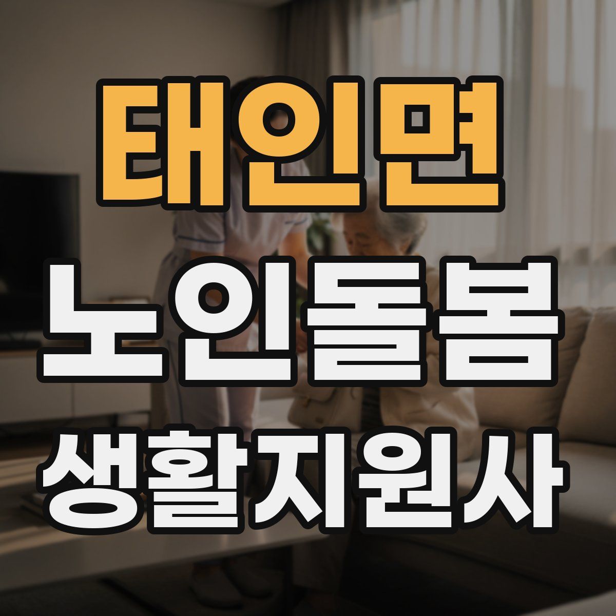 태인면 노인돌봄생활지원사 자격증