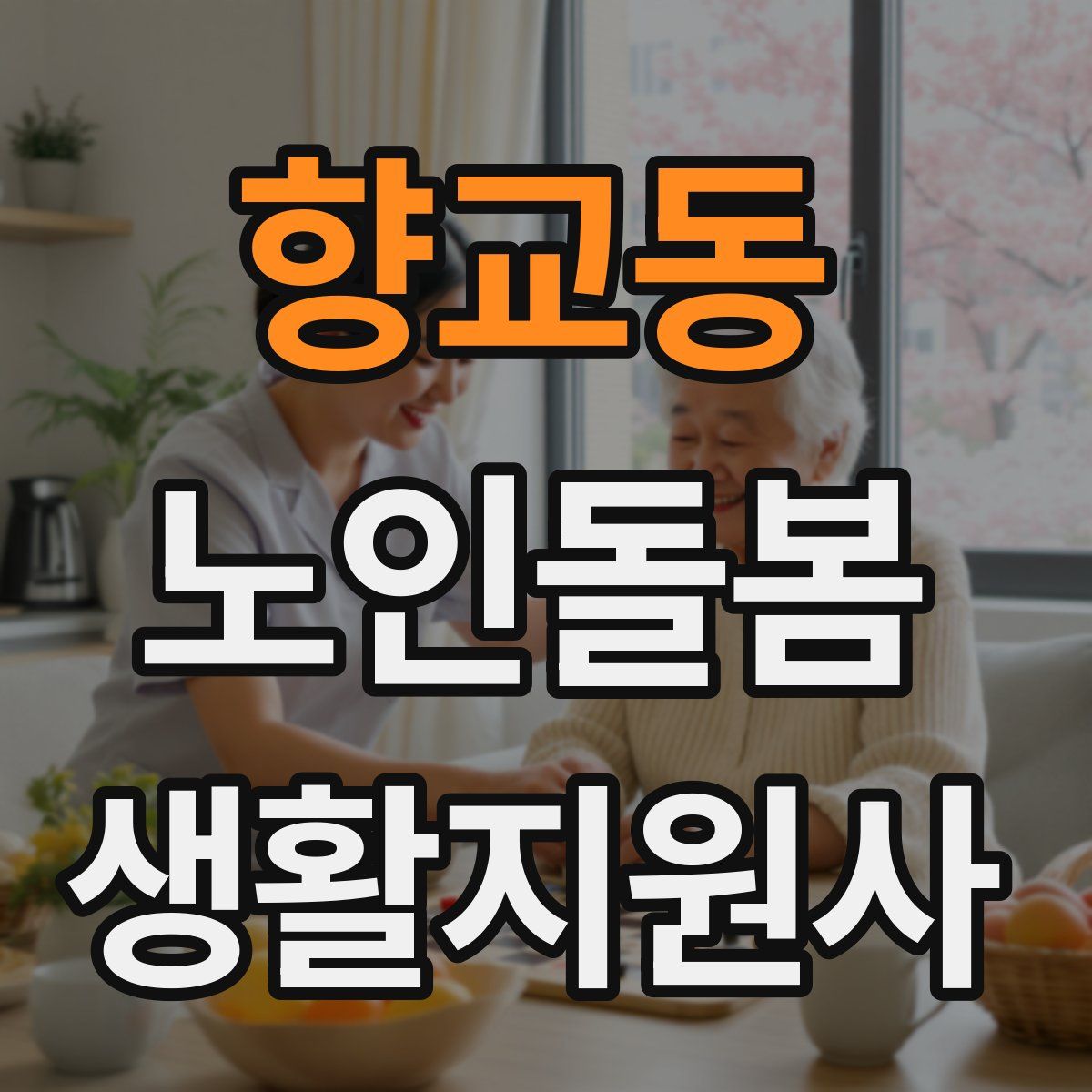 향교동 노인돌봄생활지원사 자격증