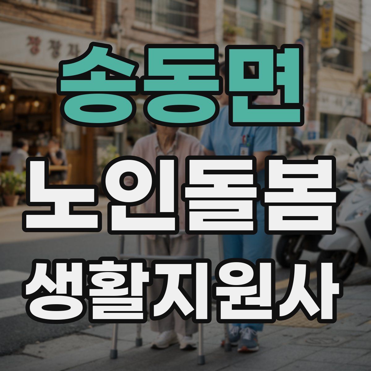 송동면 노인돌봄생활지원사 자격증