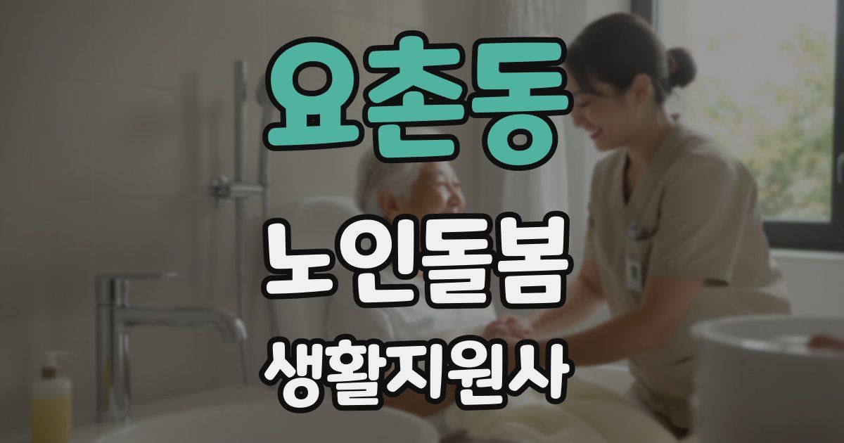 요촌동 노인돌봄생활지원사 자격증