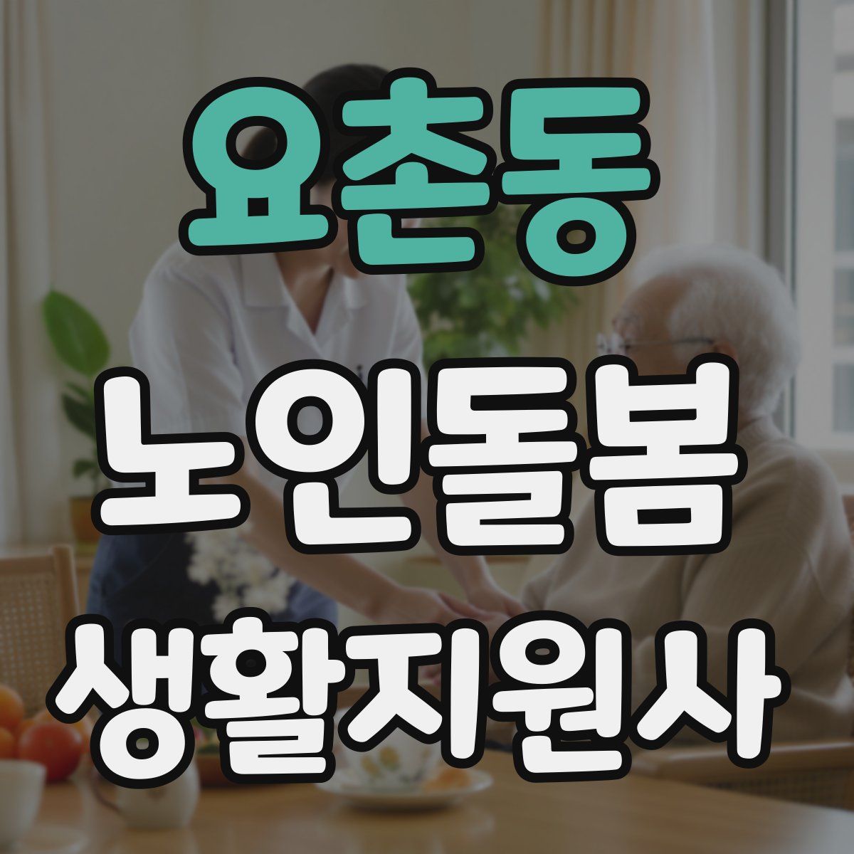 요촌동 노인돌봄생활지원사 자격증