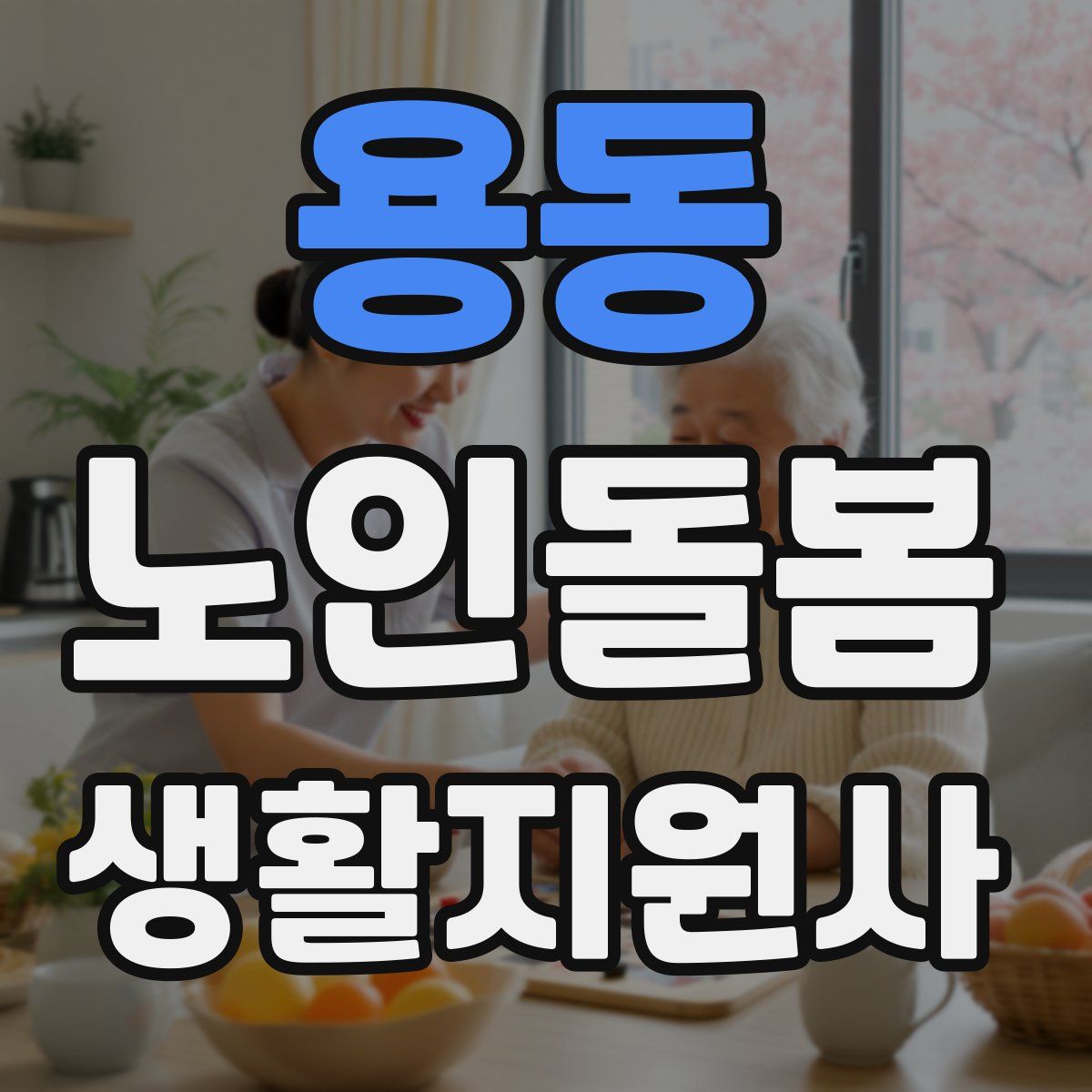 용동 노인돌봄생활지원사 자격증