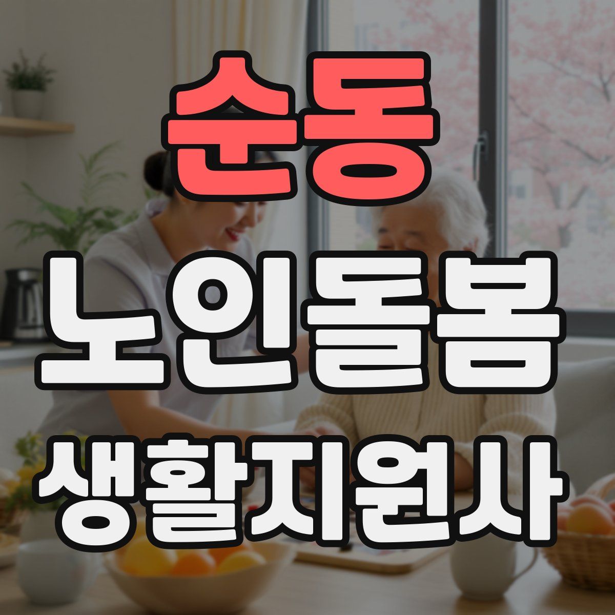 순동 노인돌봄생활지원사 자격증