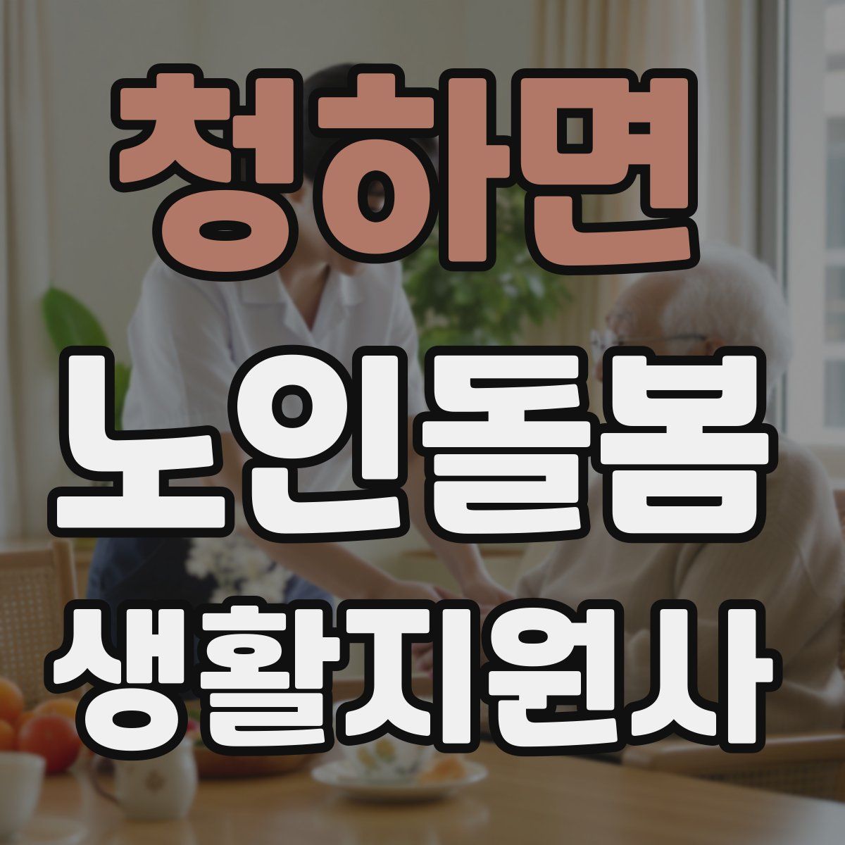 청하면 노인돌봄생활지원사 자격증