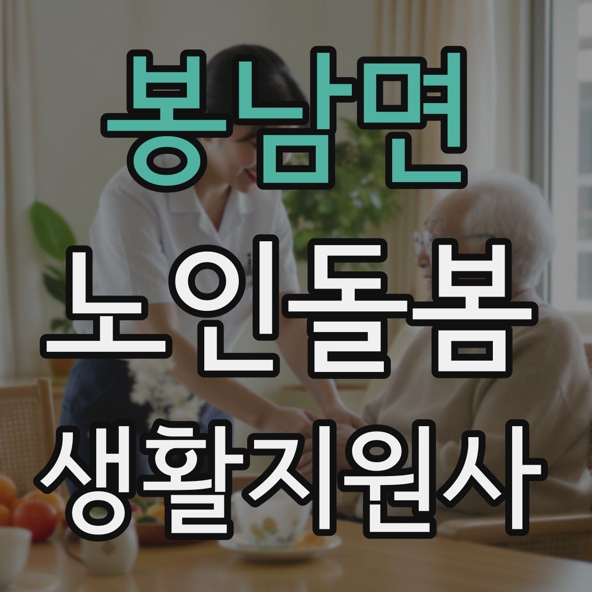 봉남면 노인돌봄생활지원사 자격증