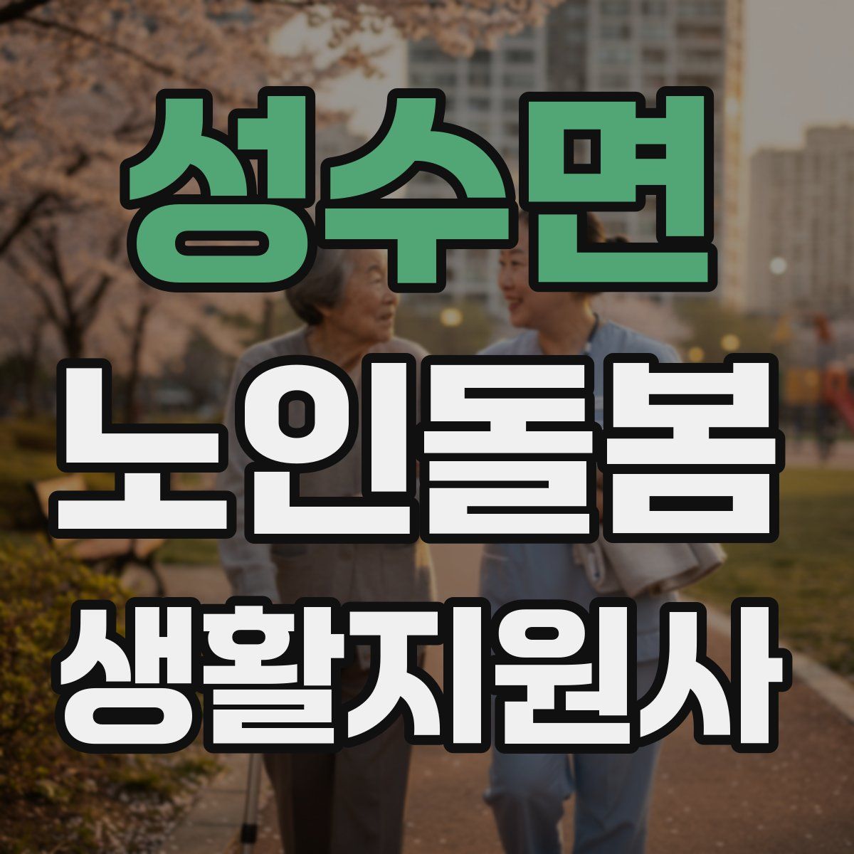 성수면 노인돌봄생활지원사 자격증