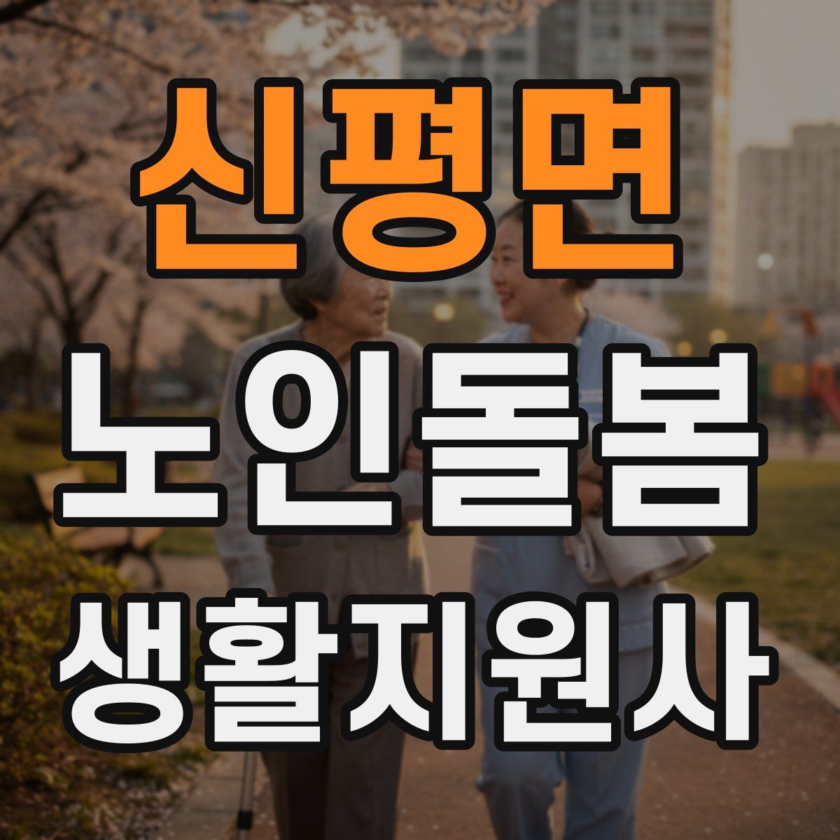 신평면 노인돌봄생활지원사 자격증