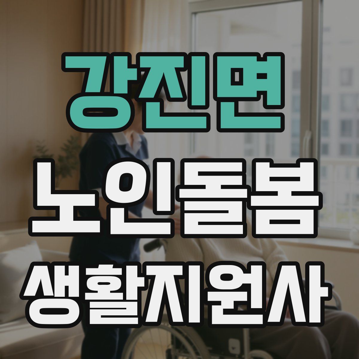강진면 노인돌봄생활지원사 자격증