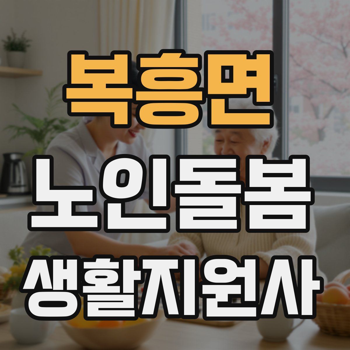 복흥면 노인돌봄생활지원사 자격증