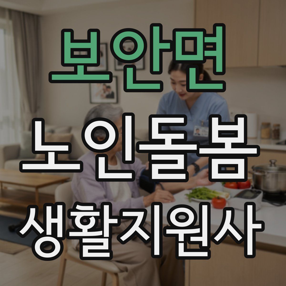 보안면 노인돌봄생활지원사 자격증