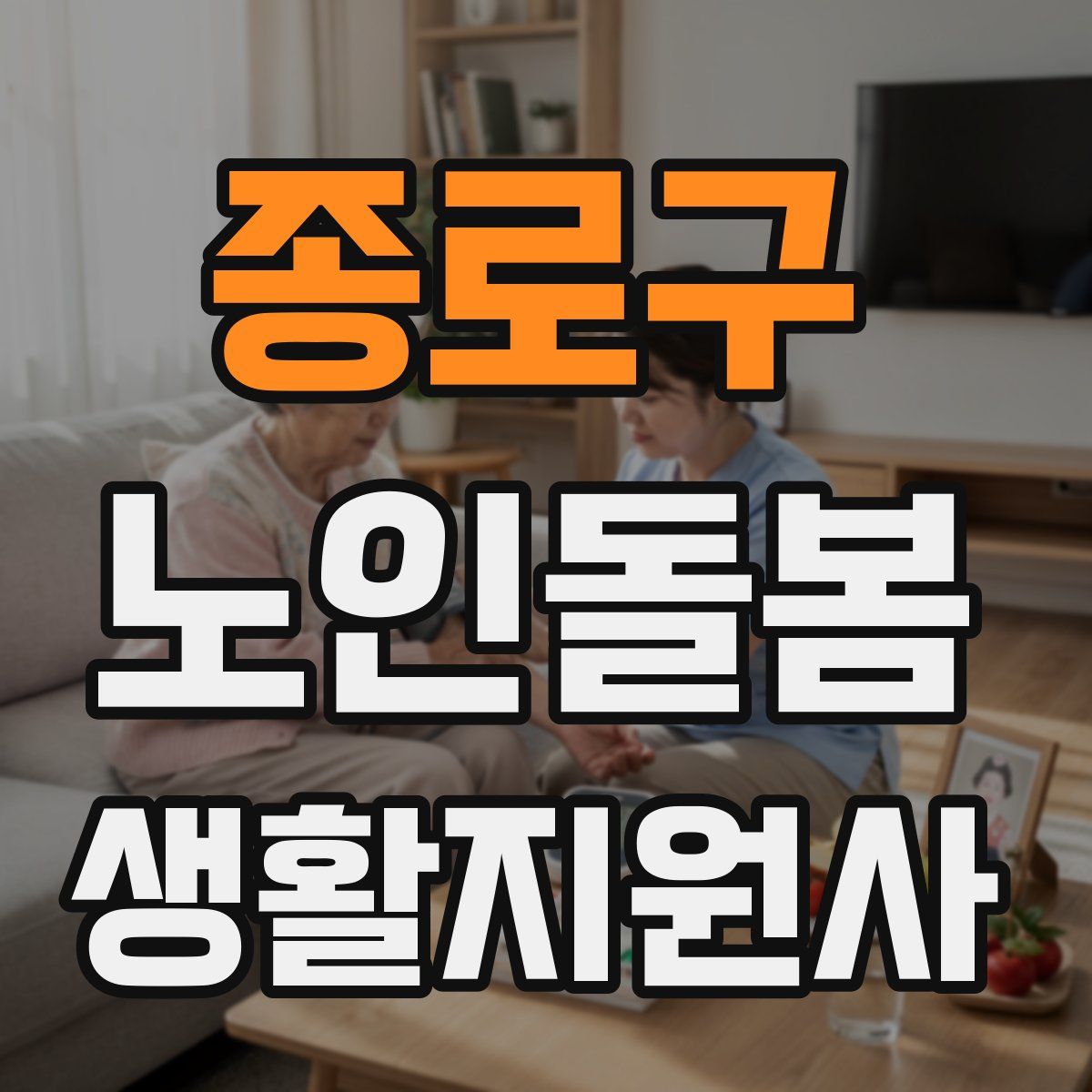 종로구 노인돌봄생활지원사 자격증