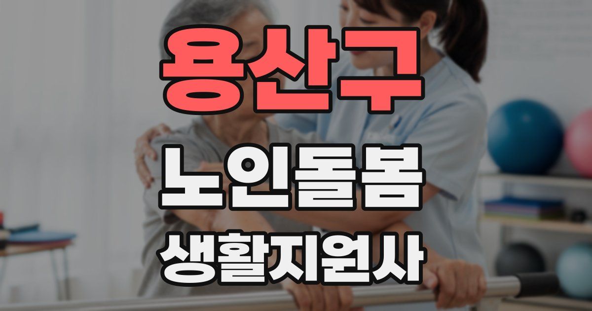 용산구 노인돌봄생활지원사 자격증