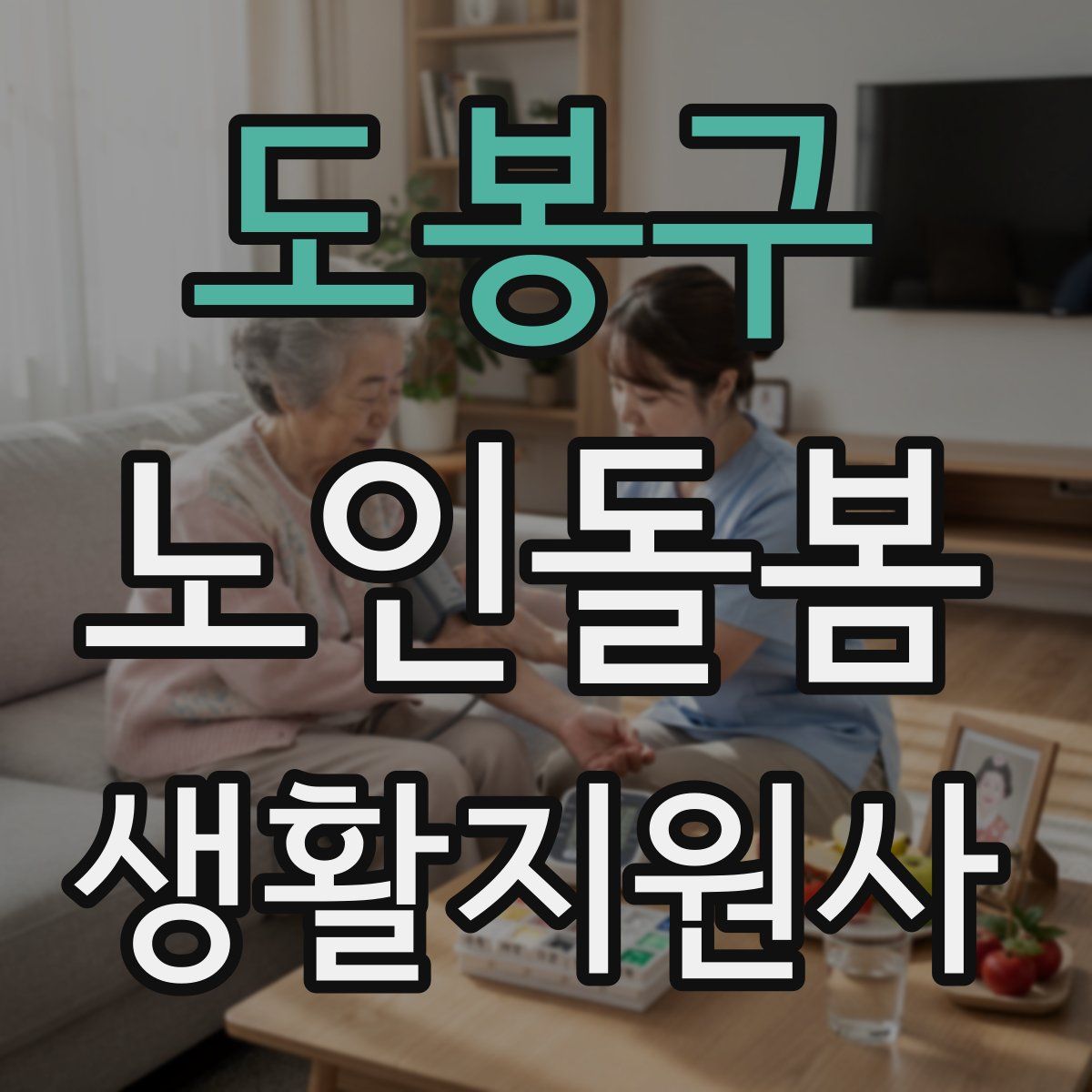 도봉구 노인돌봄생활지원사 자격증