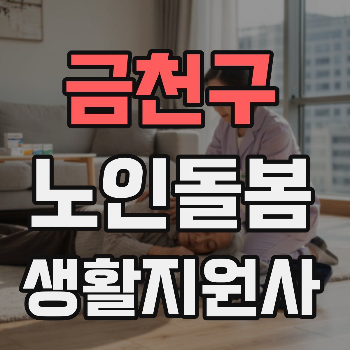 금천구 노인돌봄생활지원사 자격증