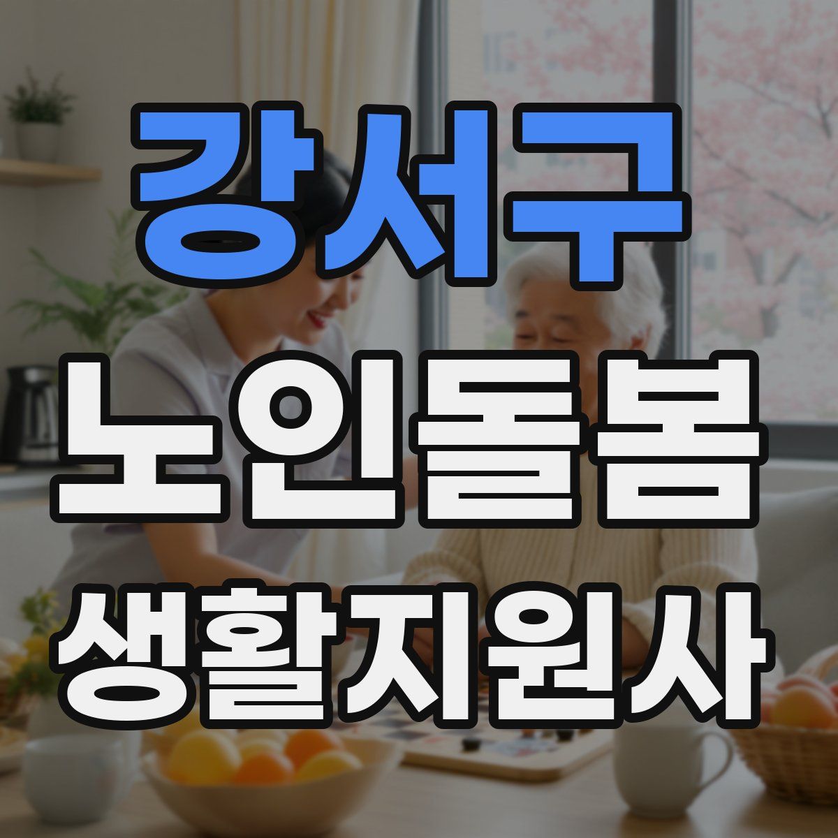 강서구 노인돌봄생활지원사 자격증