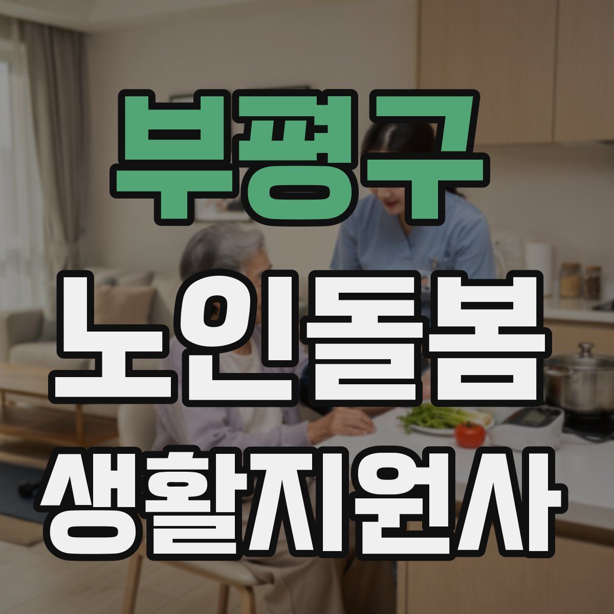 부평구 노인돌봄생활지원사 자격증