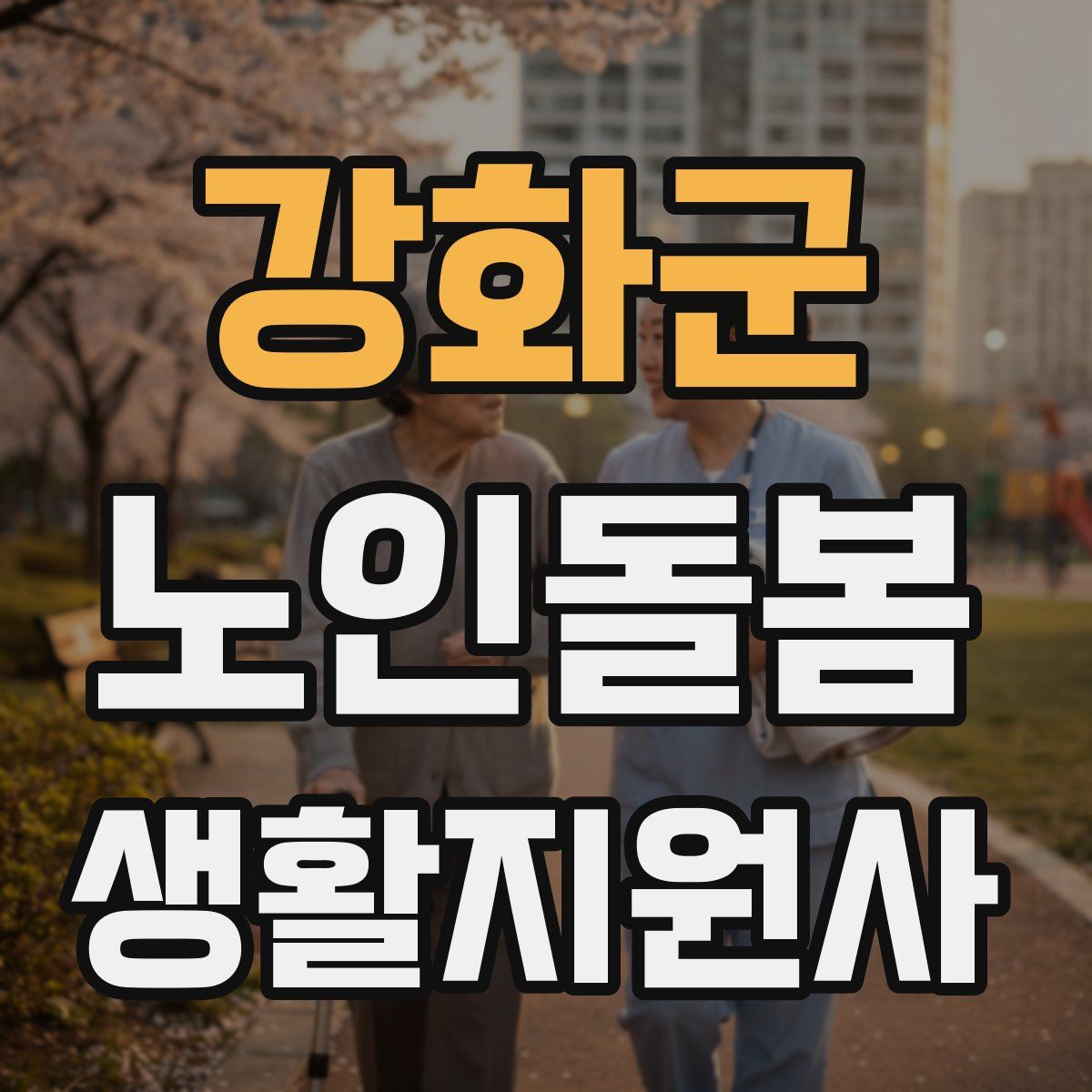 강화군 노인돌봄생활지원사 자격증