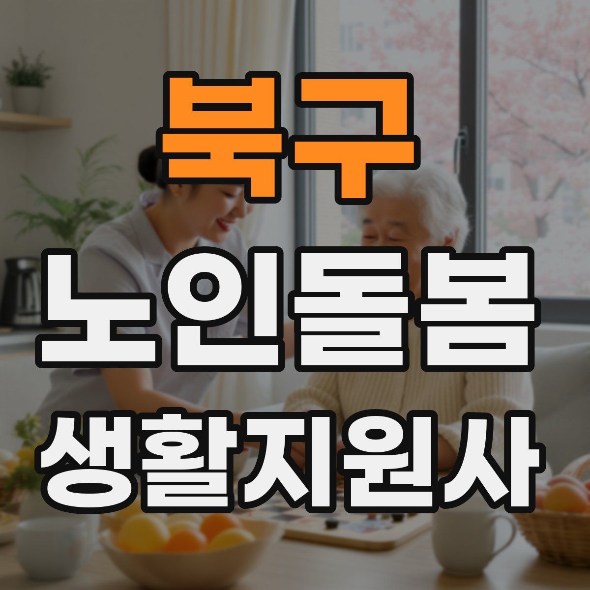 북구 노인돌봄생활지원사 자격증