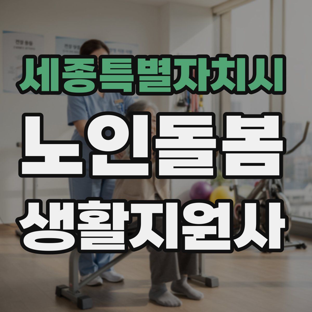 세종특별자치시 노인돌봄생활지원사 자격증