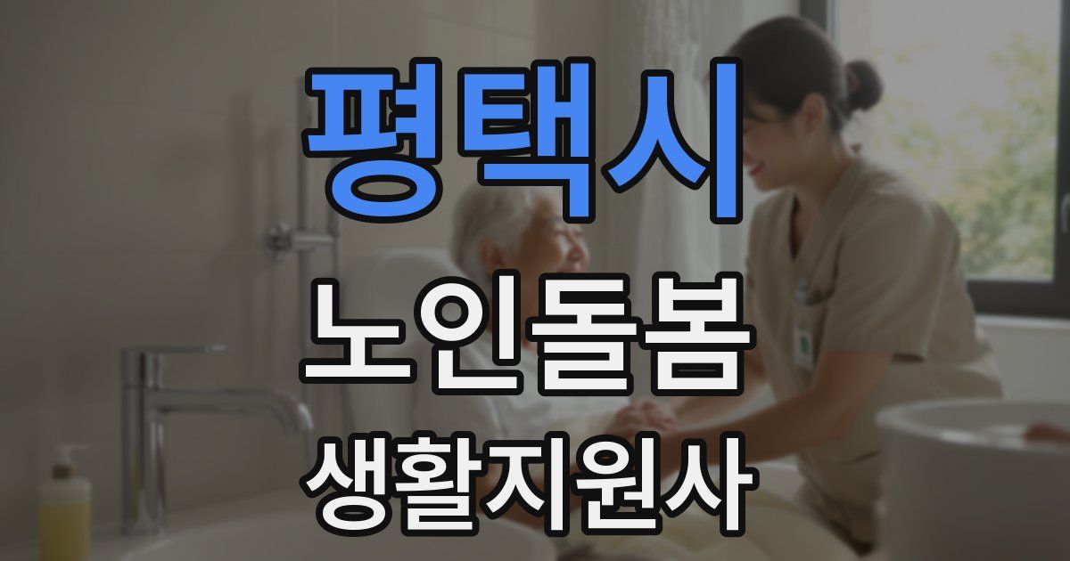 평택시 노인돌봄생활지원사 자격증