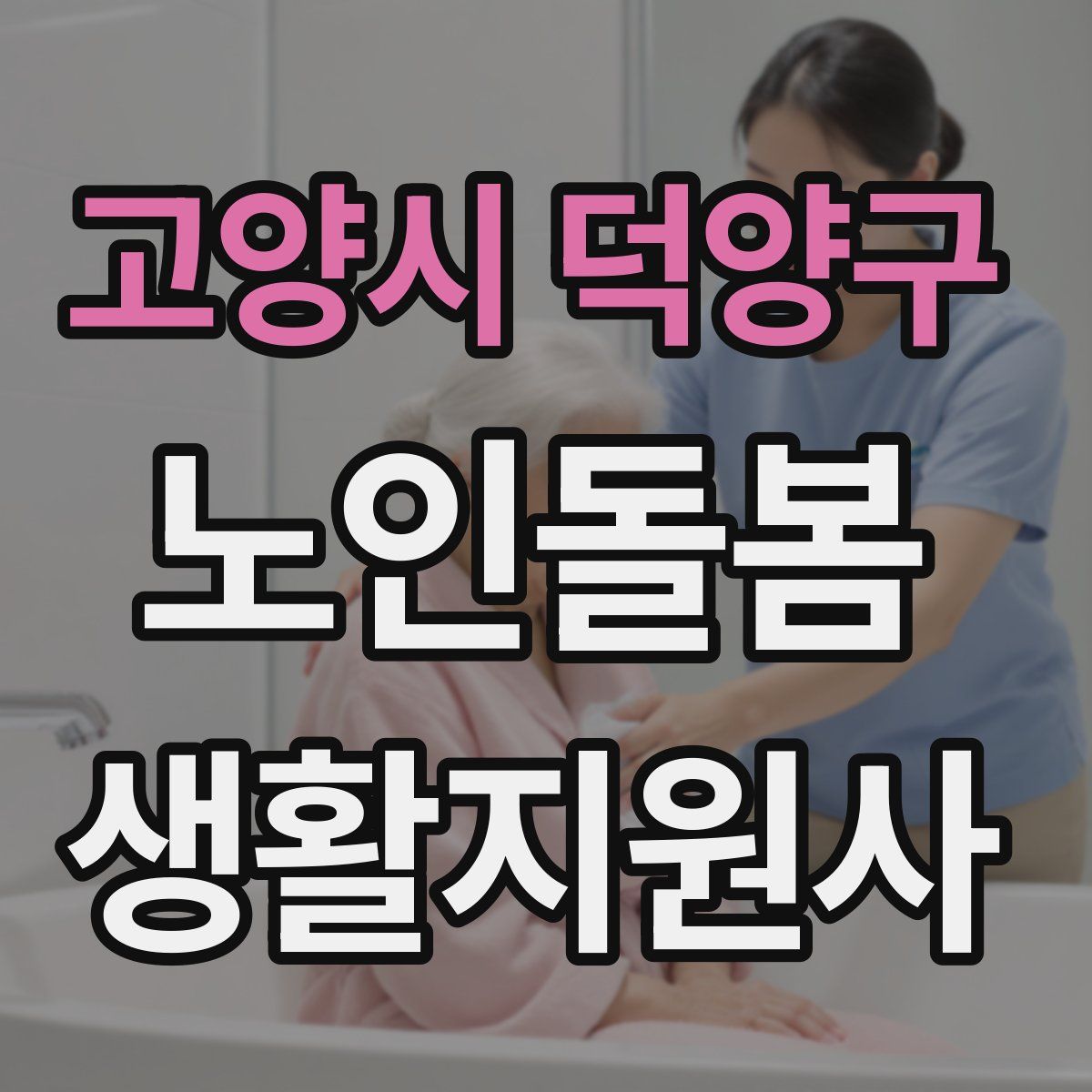 고양시 덕양구 노인돌봄생활지원사 자격증