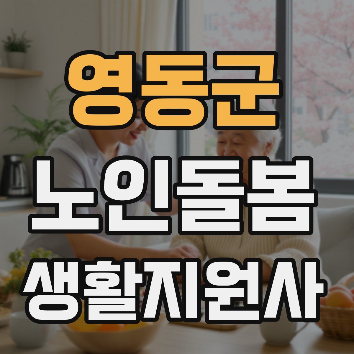 영동군 노인돌봄생활지원사 자격증