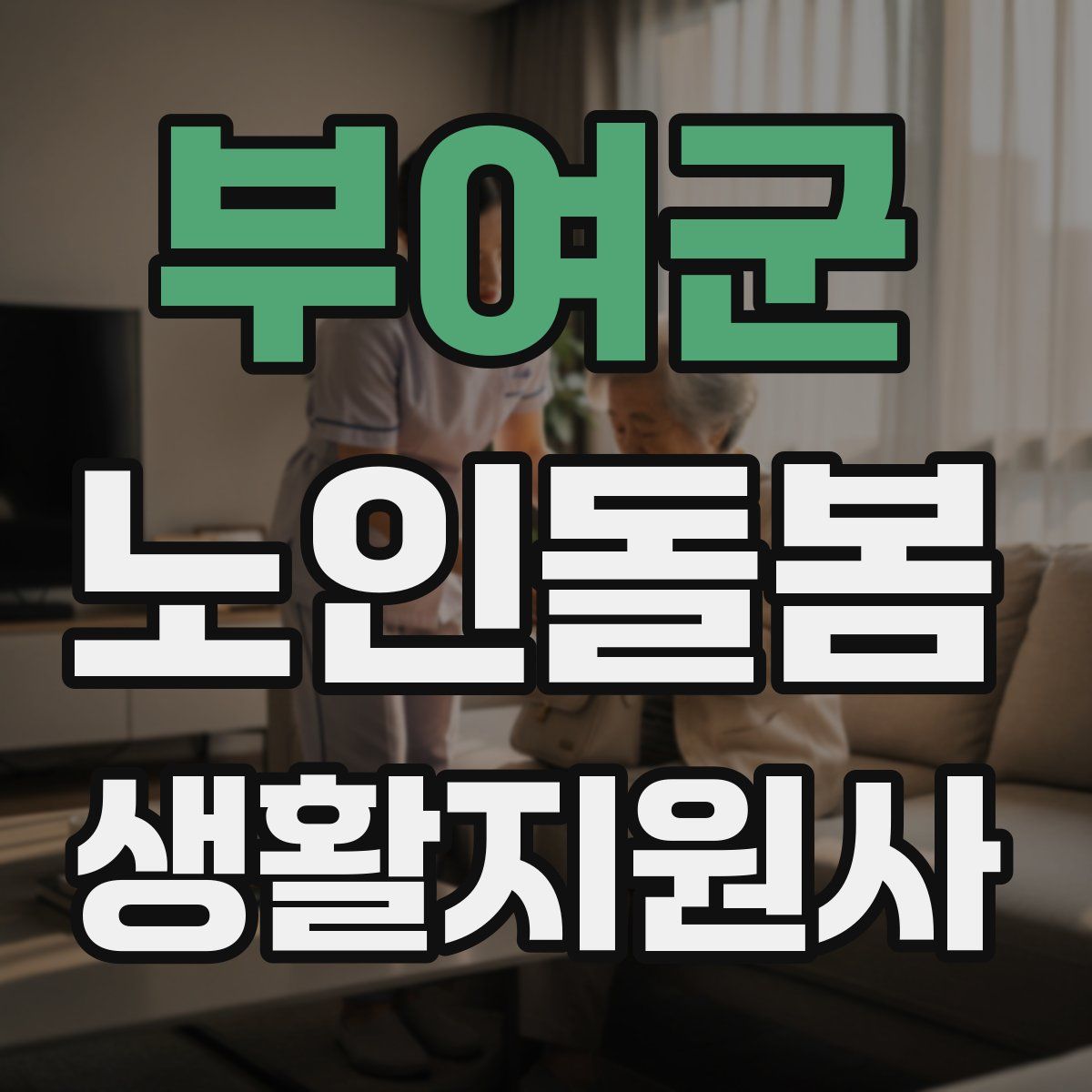 부여군 노인돌봄생활지원사 자격증
