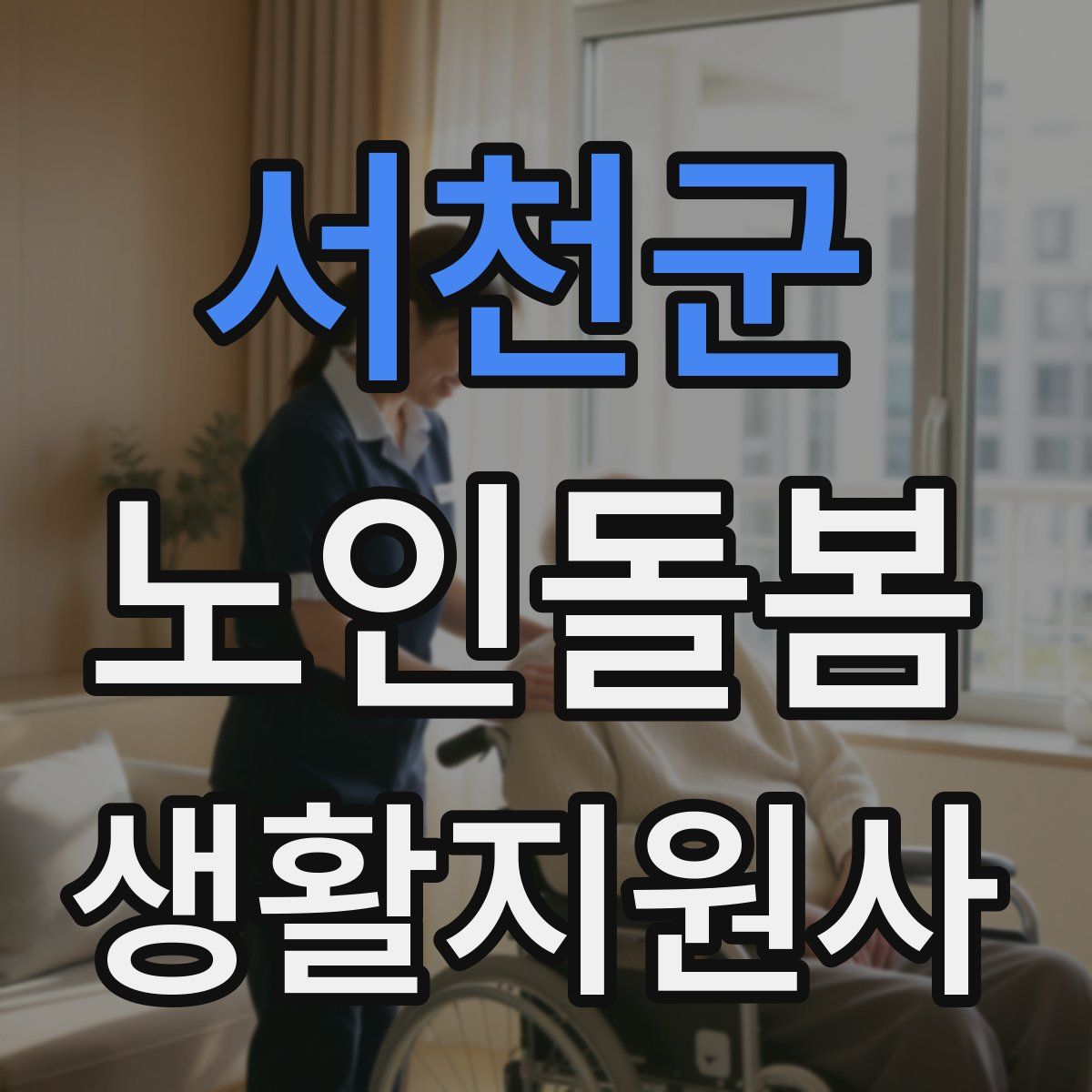 서천군 노인돌봄생활지원사 자격증