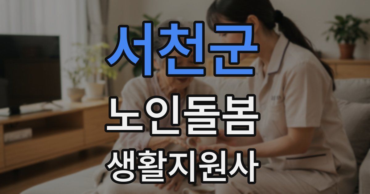 서천군 노인돌봄생활지원사 자격증