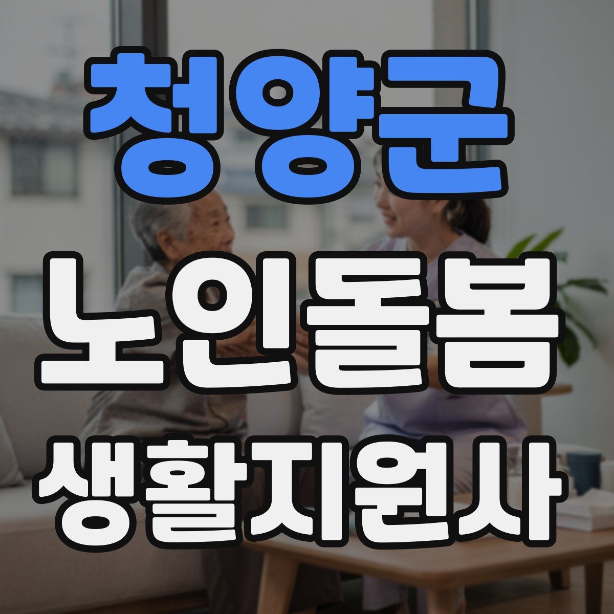 청양군 노인돌봄생활지원사 자격증