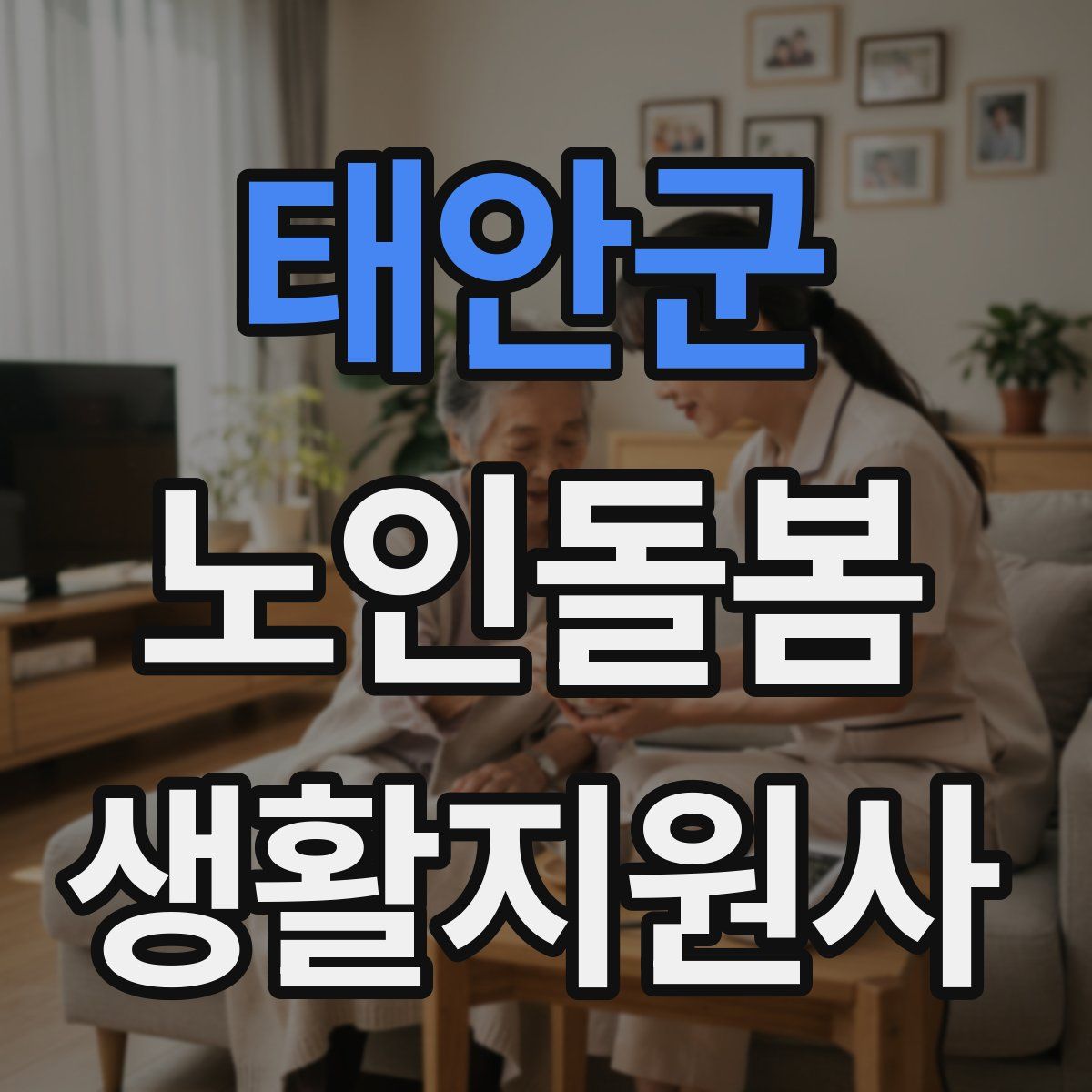 태안군 노인돌봄생활지원사 자격증