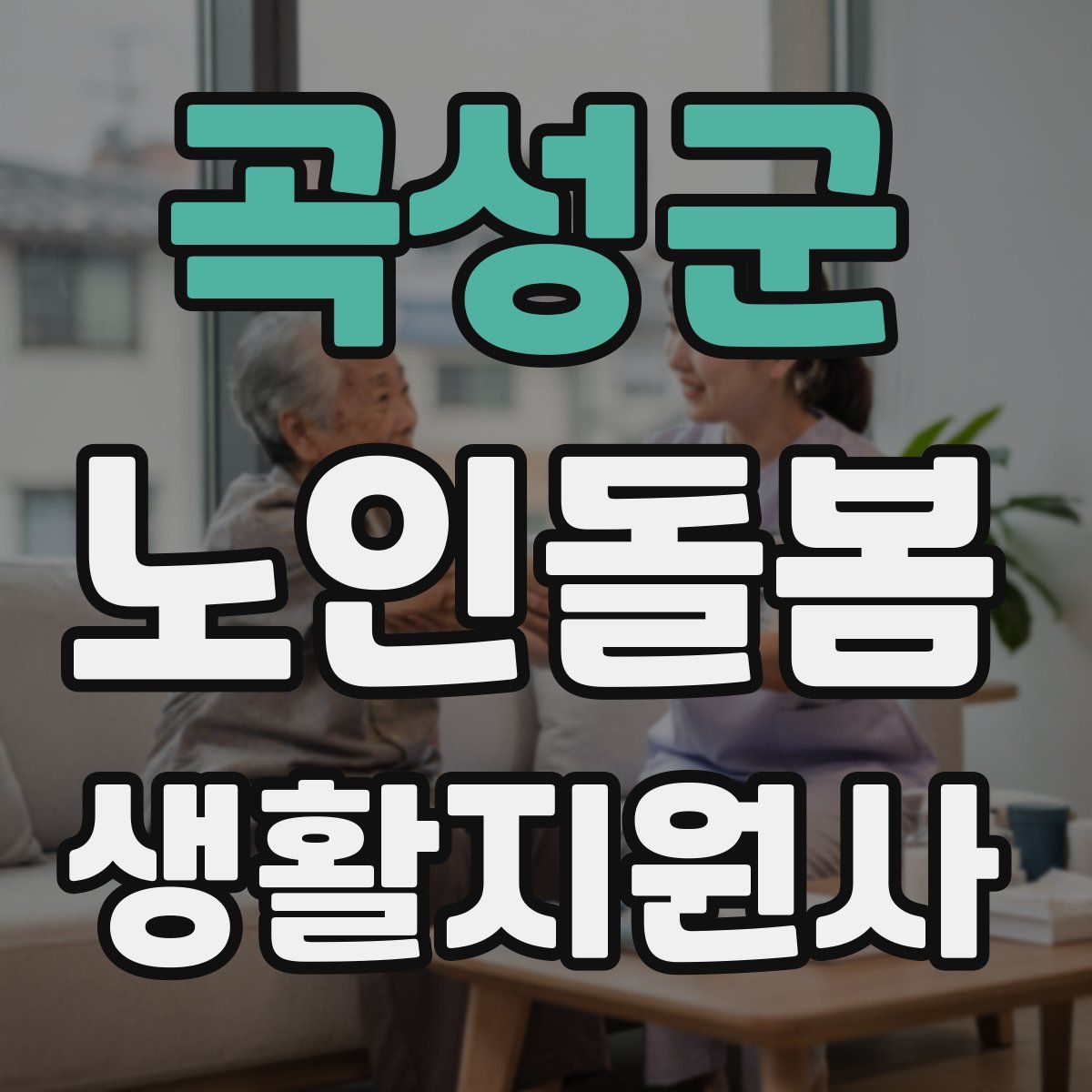 곡성군 노인돌봄생활지원사 자격증