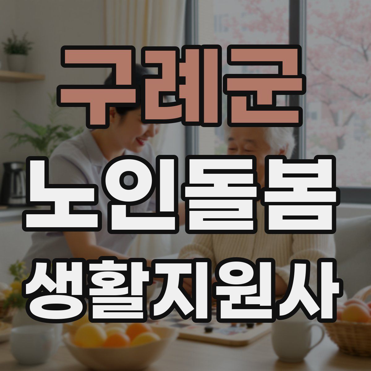 구례군 노인돌봄생활지원사 자격증