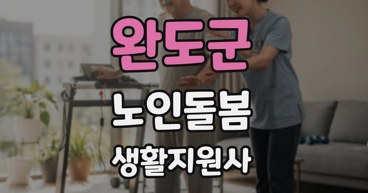 완도군 노인돌봄생활지원사 자격증