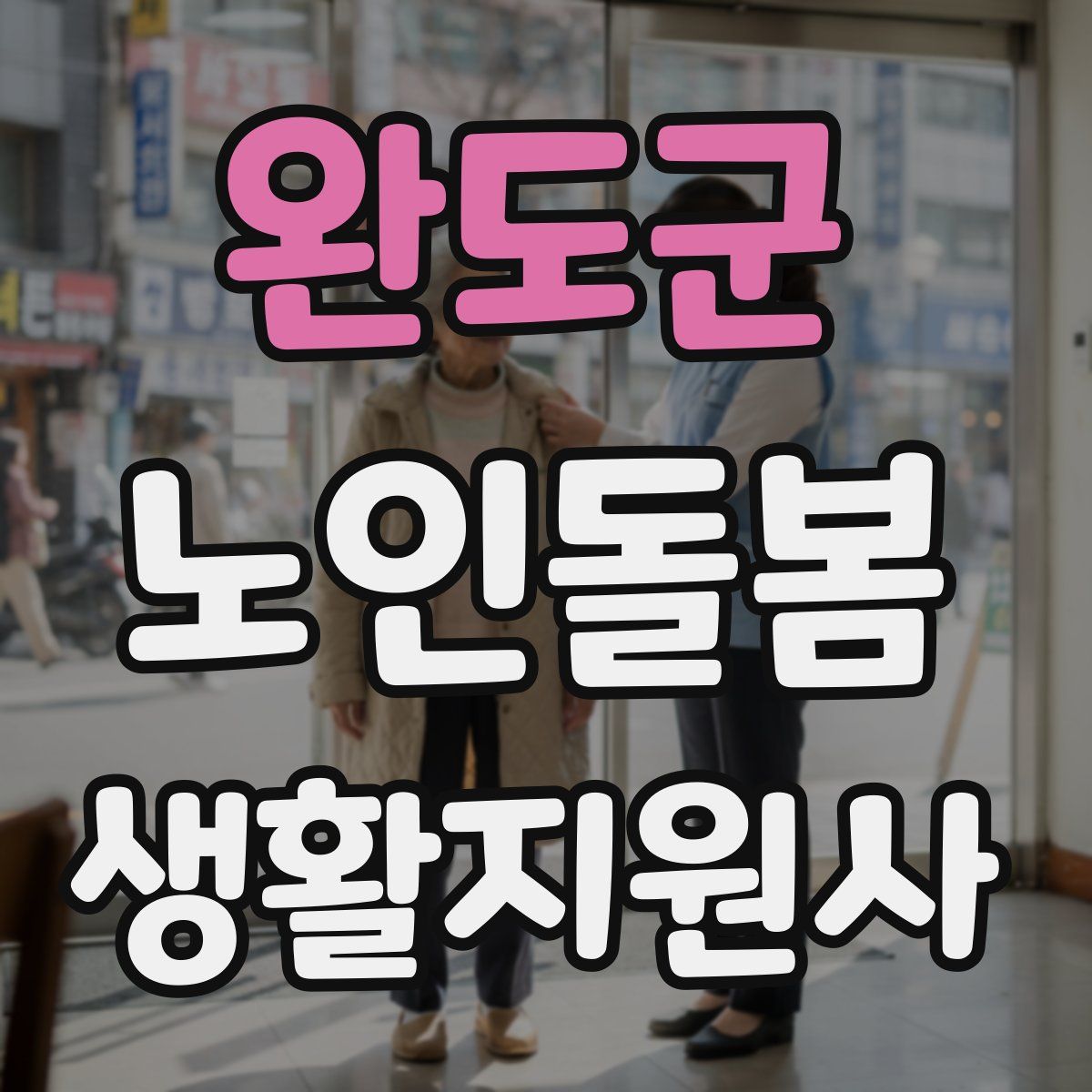 완도군 노인돌봄생활지원사 자격증