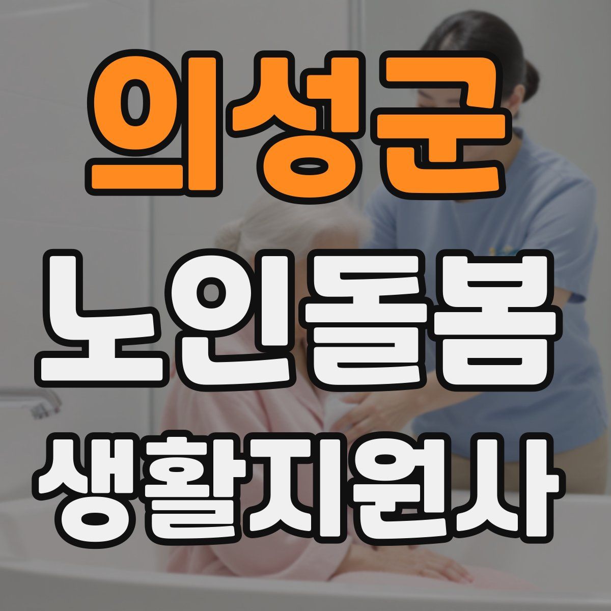 의성군 노인돌봄생활지원사 자격증