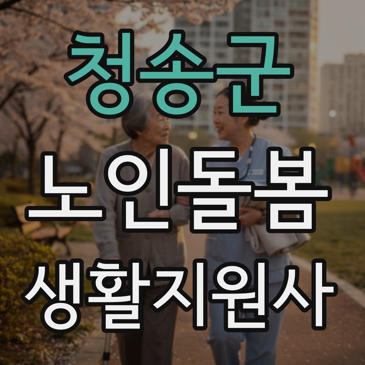 청송군 노인돌봄생활지원사 자격증