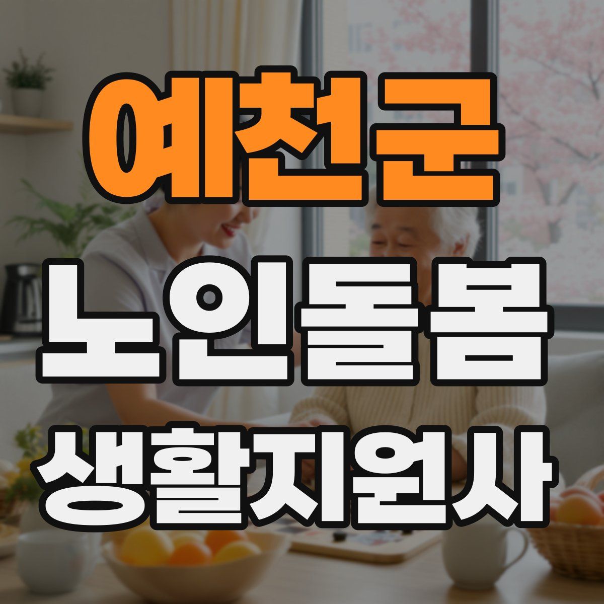 예천군 노인돌봄생활지원사 자격증