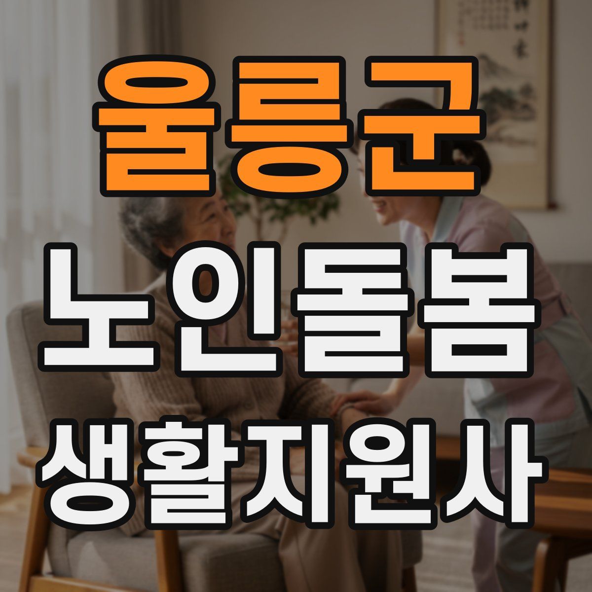 울릉군 노인돌봄생활지원사 자격증