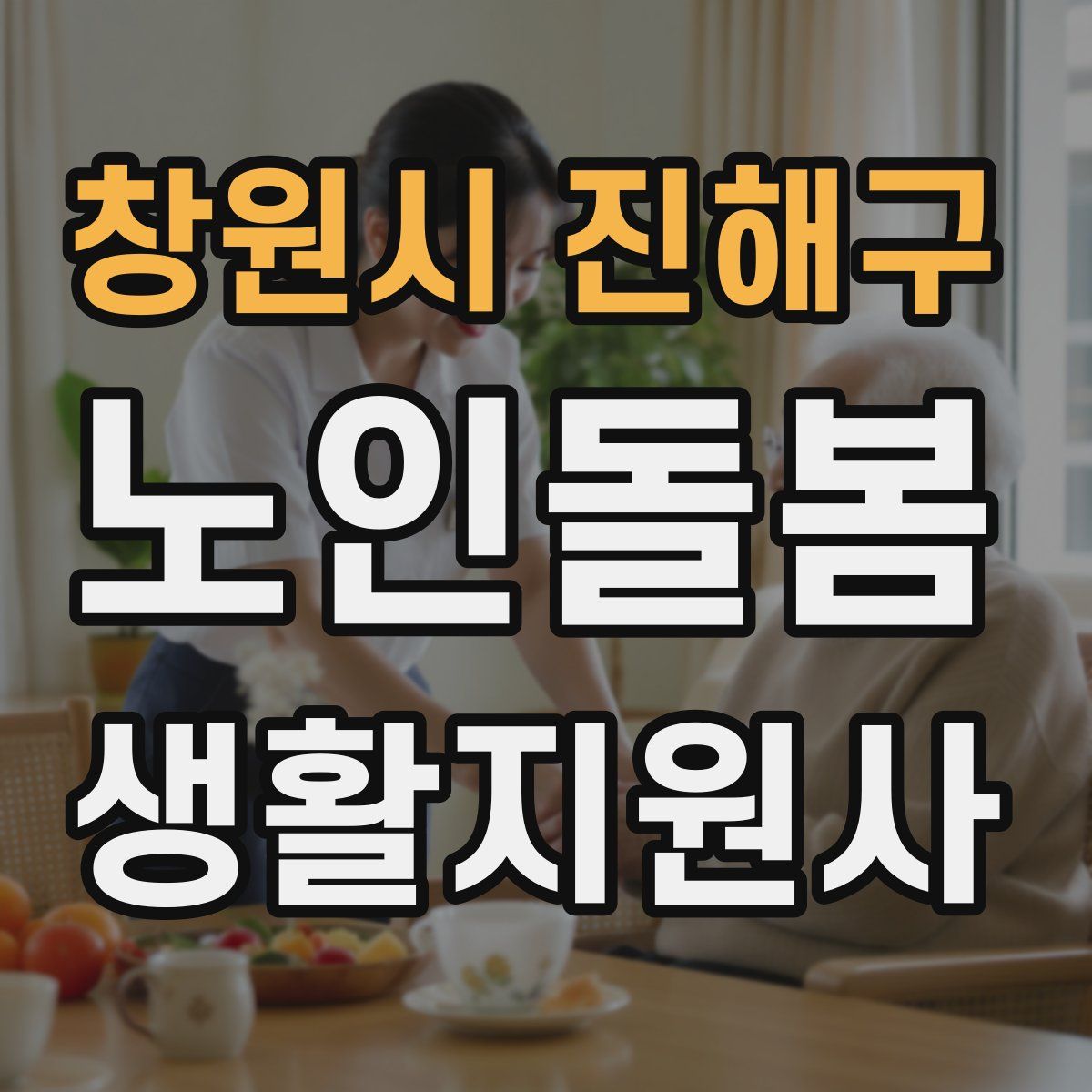 창원시 진해구 노인돌봄생활지원사 자격증