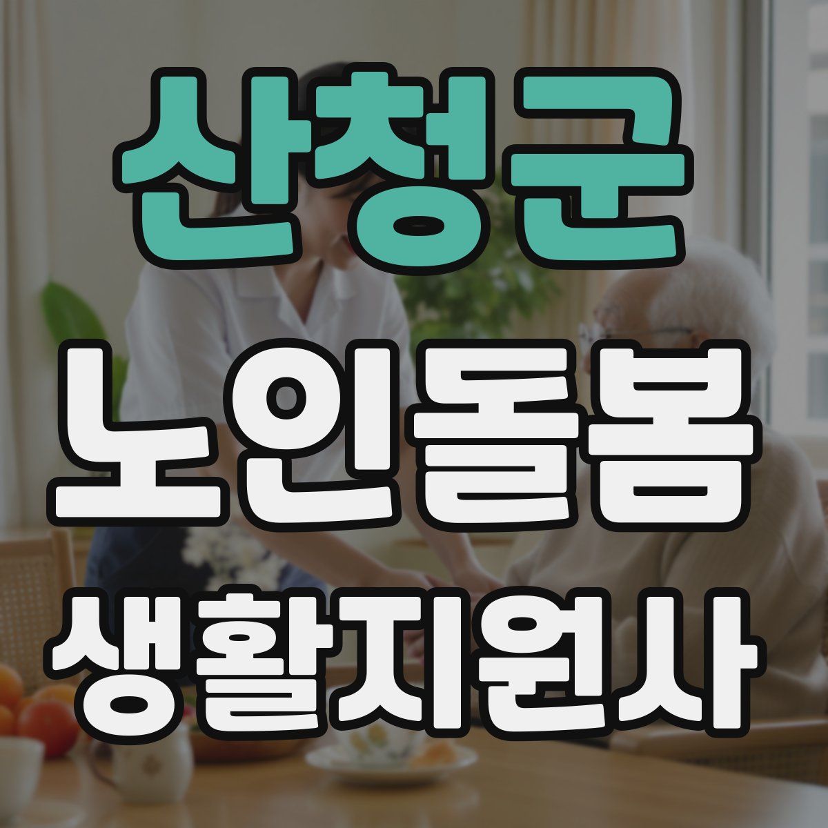 산청군 노인돌봄생활지원사 자격증