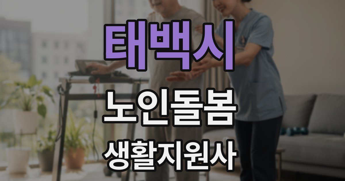 태백시 노인돌봄생활지원사 자격증