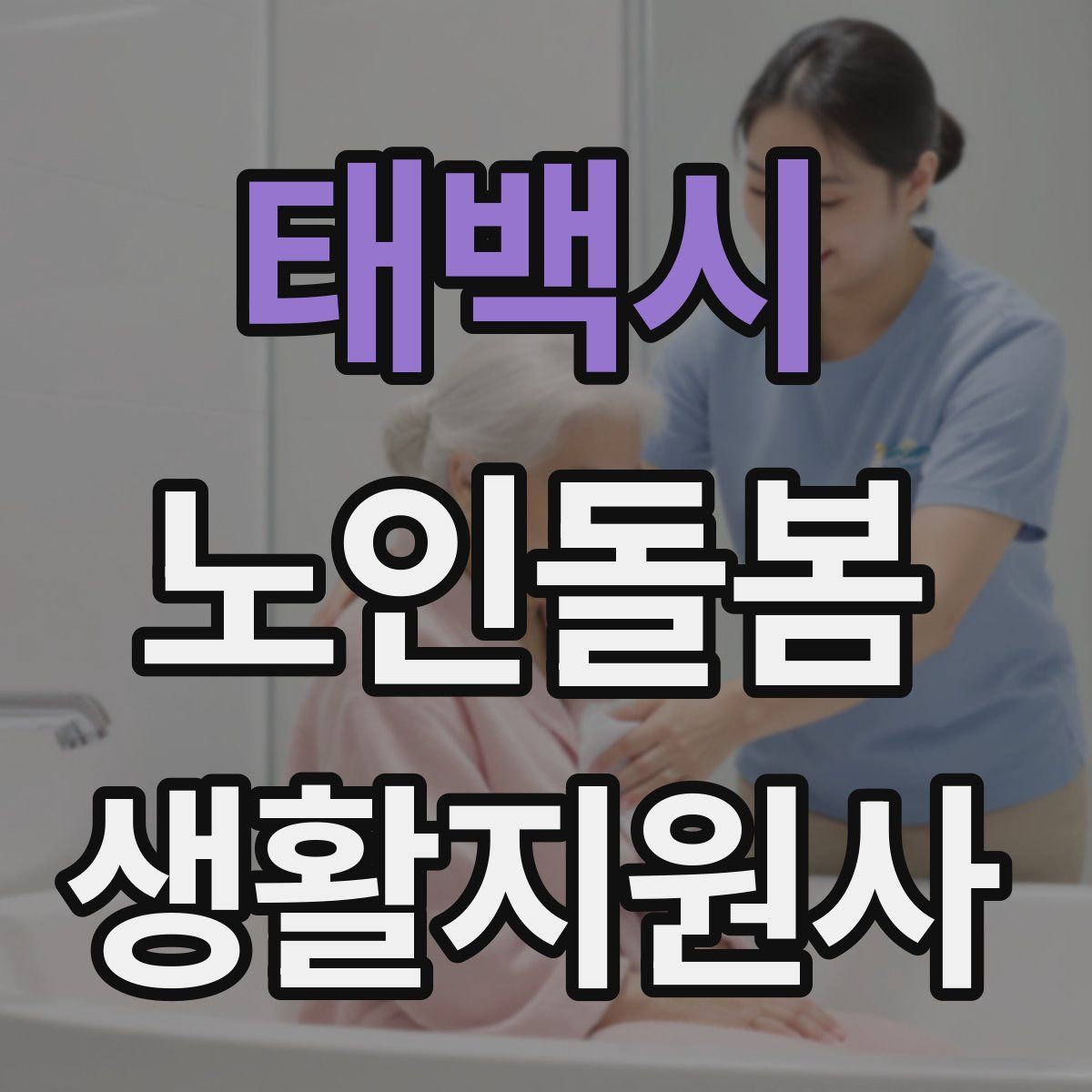 태백시 노인돌봄생활지원사 자격증