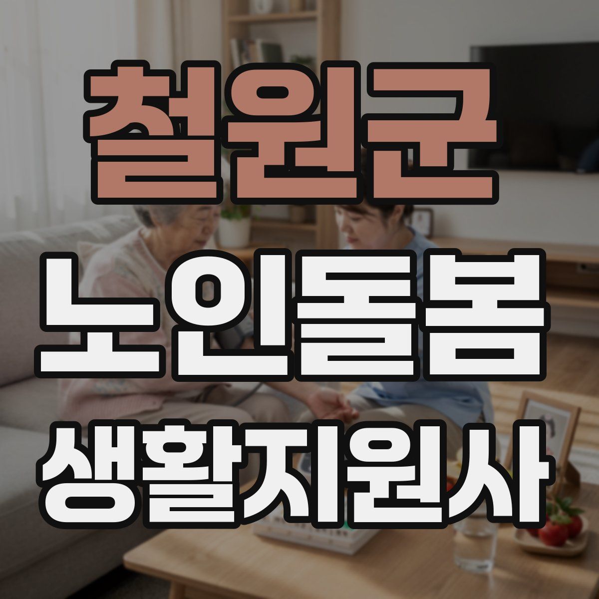 철원군 노인돌봄생활지원사 자격증