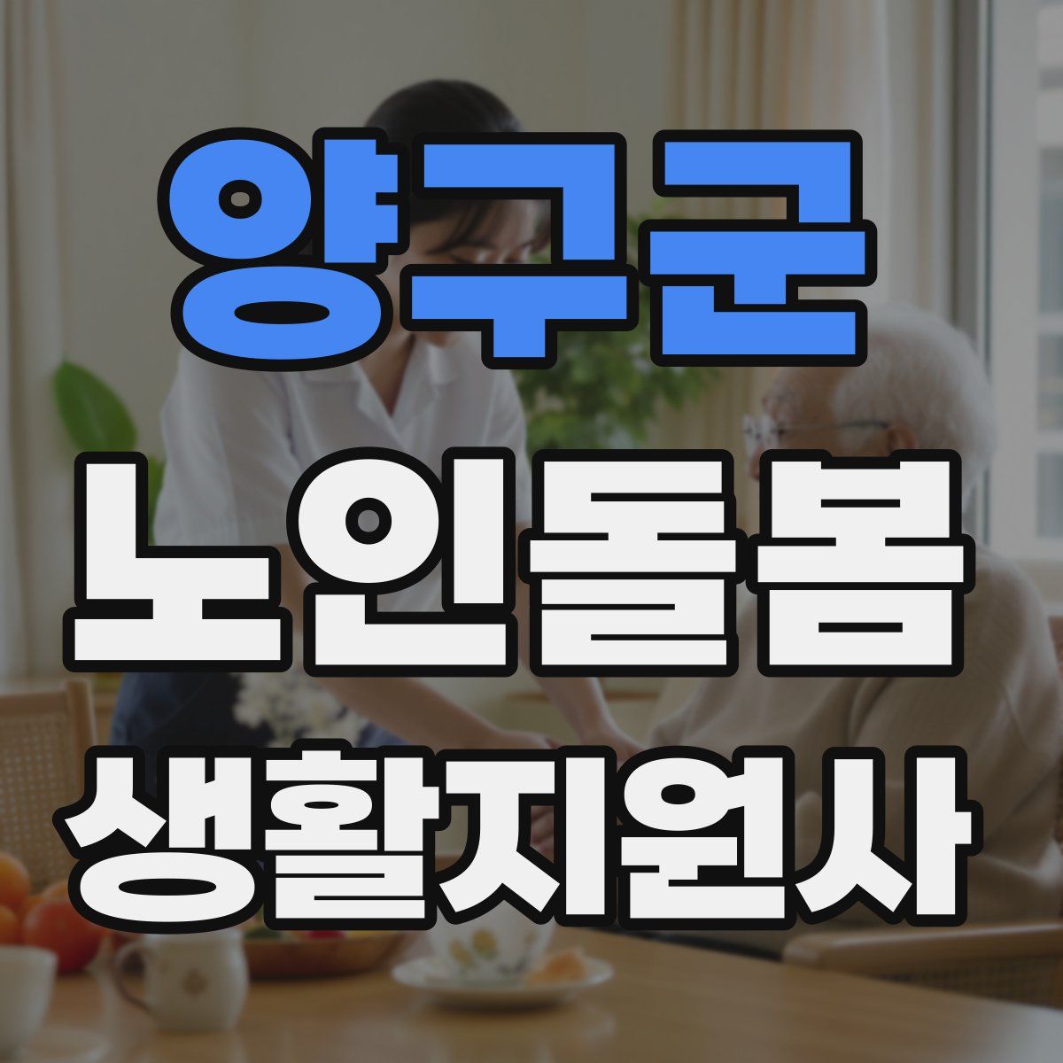 양구군 노인돌봄생활지원사 자격증