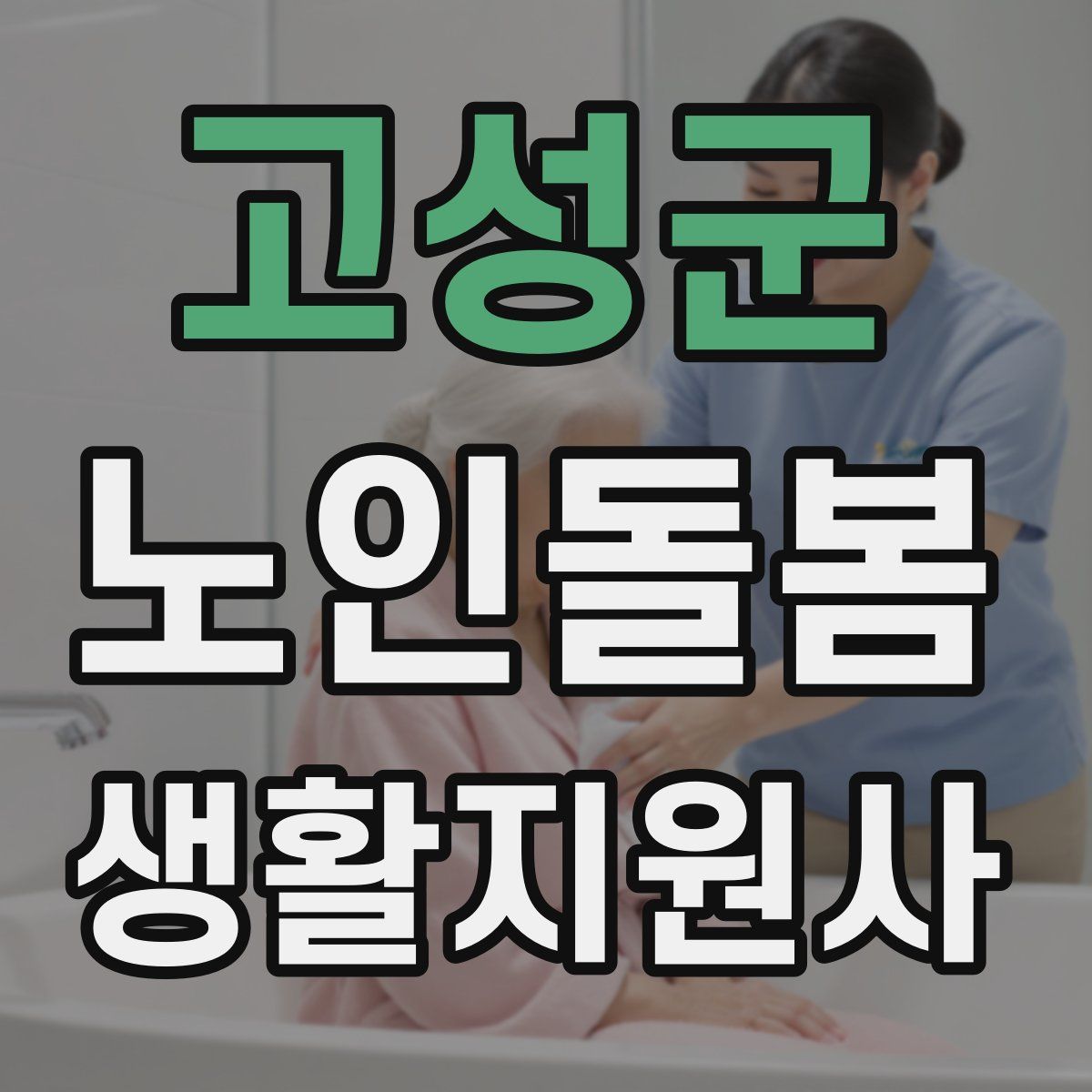 고성군 노인돌봄생활지원사 자격증