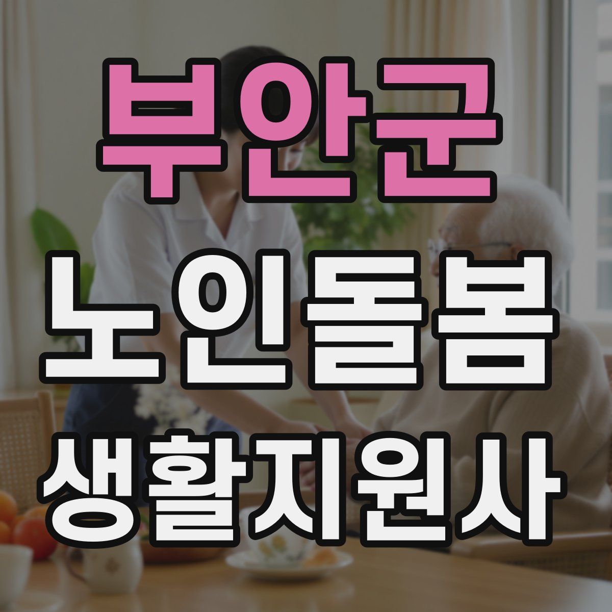 부안군 노인돌봄생활지원사 자격증