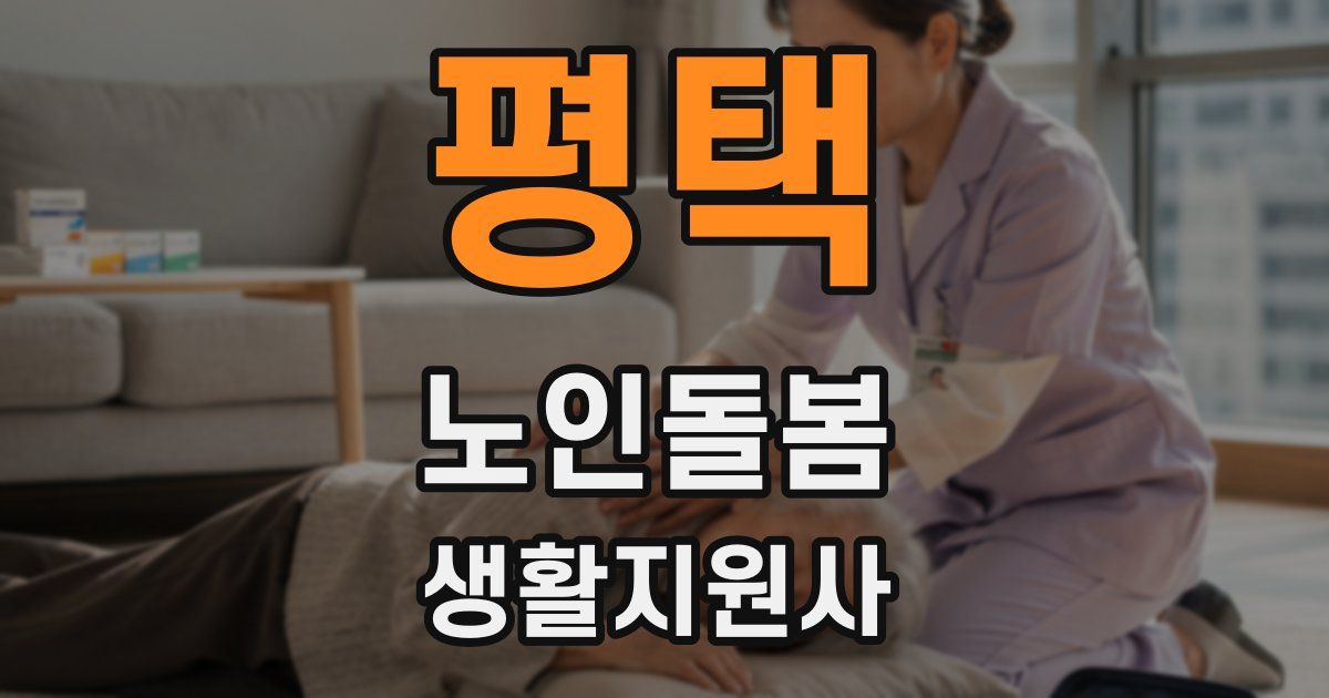 평택 노인돌봄생활지원사 자격증