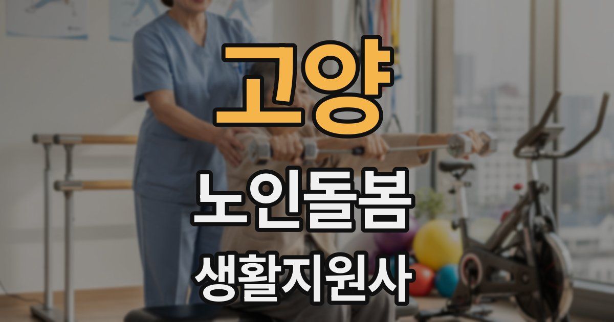 고양 노인돌봄생활지원사 자격증